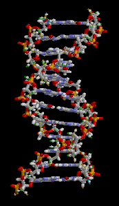 DNA-animation